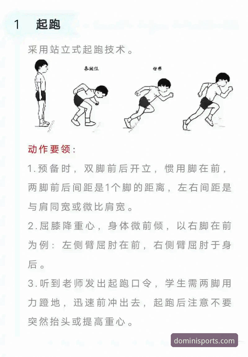 多米体育安全登录 5个关键步骤确保多米体育安全登录:从入门到精通